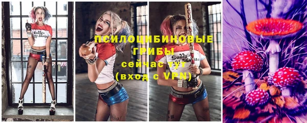 дурь Алексин