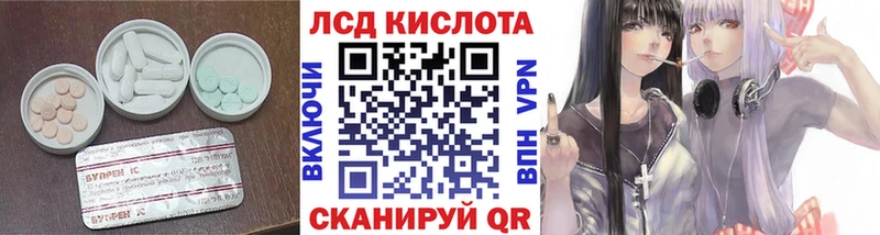 где можно купить наркотик  Курлово  Лсд 25 экстази ecstasy 
